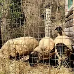 La Vecchia Chioderia