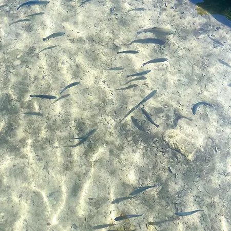 La Vecchia Chioderia 팜스테이