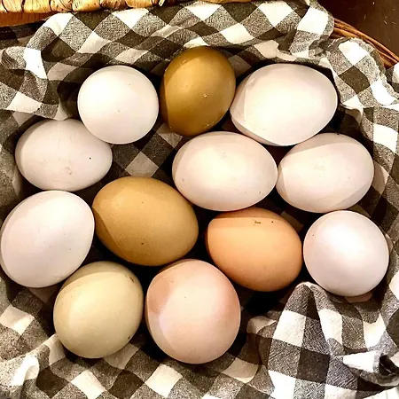 La Vecchia Chioderia *