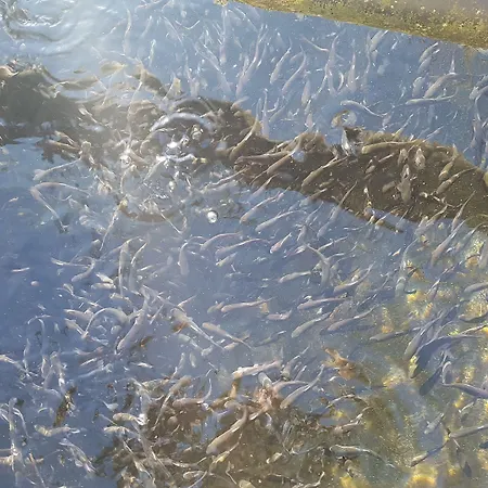 La Vecchia Chioderia 그란돌라 에드 우니티