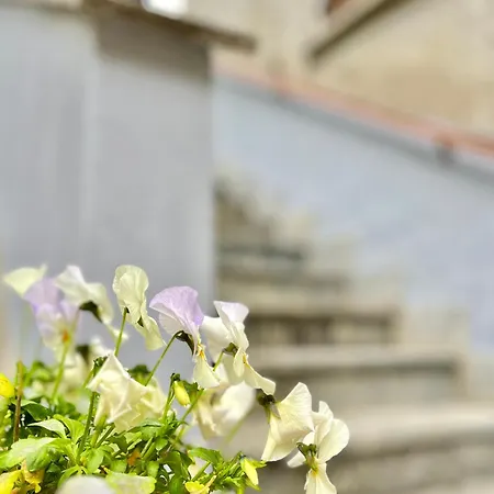 Agriturismo La Vecchia Chioderia Lantgård *