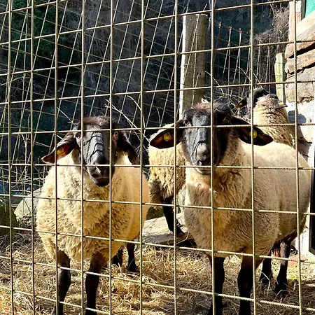 Lantgård Agriturismo La Vecchia Chioderia *