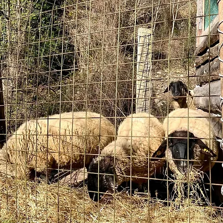 Agriturismo La Vecchia Chioderia