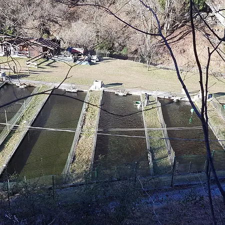 Gospodarstwo agroturystyczne La Vecchia Chioderia Grandola ed Uniti