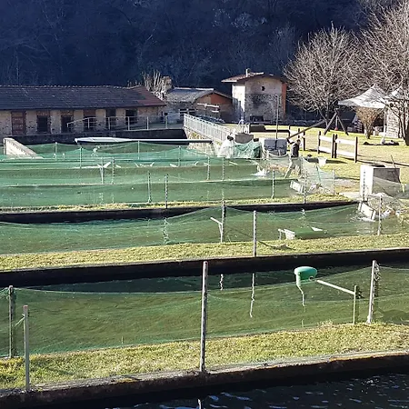 Farm stay Agriturismo La Vecchia Chioderia *