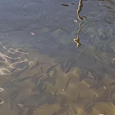 Farm stay Agriturismo La Vecchia Chioderia