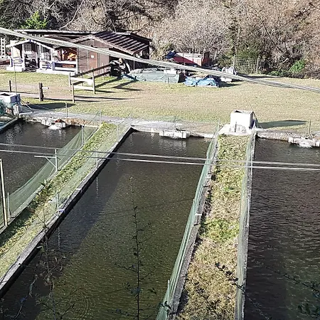 Agriturismo La Vecchia Chioderia Farm stay