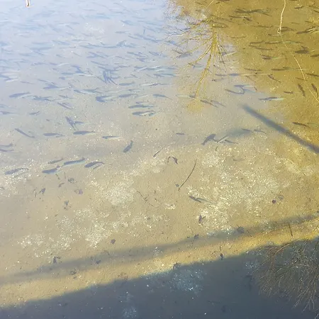 Gospodarstwo agroturystyczne La Vecchia Chioderia