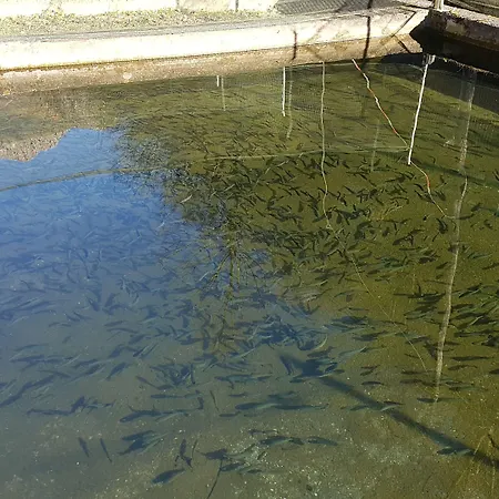 Gospodarstwo agroturystyczne La Vecchia Chioderia *