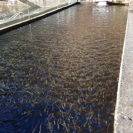 La Vecchia Chioderia Gospodarstwo agroturystyczne Grandola ed Uniti