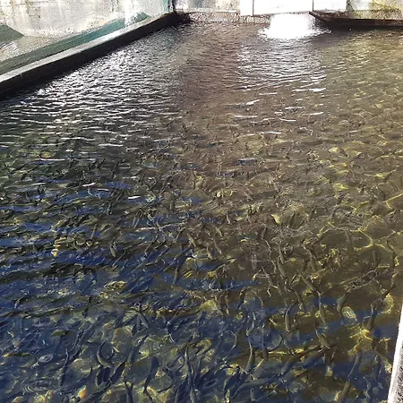 Gospodarstwo agroturystyczne La Vecchia Chioderia *