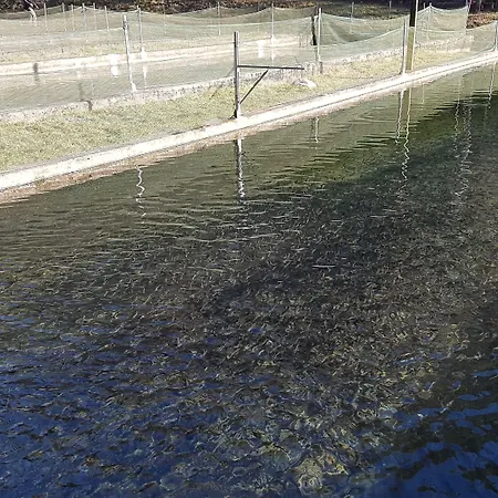 La Vecchia Chioderia Gospodarstwo agroturystyczne *