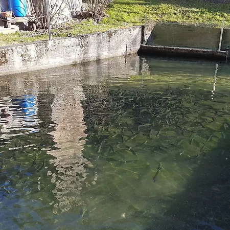 Gospodarstwo agroturystyczne La Vecchia Chioderia *