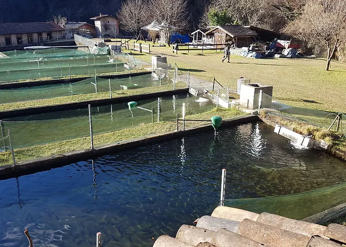 La Vecchia Chioderia مزرعة للإقامة