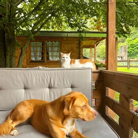 Agriturismo La Vecchia Chioderia Grandola ed Uniti