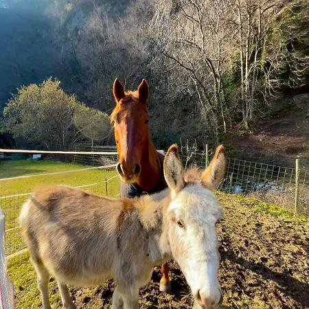 Agriturismo La Vecchia Chioderia Farm stay Grandola ed Uniti