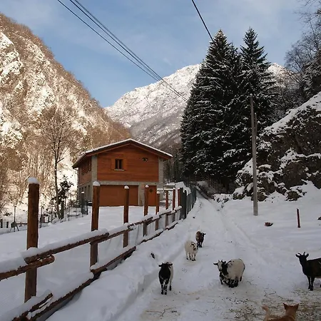 Agriturismo La Vecchia Chioderia Farm stay Grandola ed Uniti