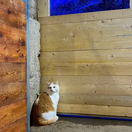 La Vecchia Chioderia Çiftlik konaklama *