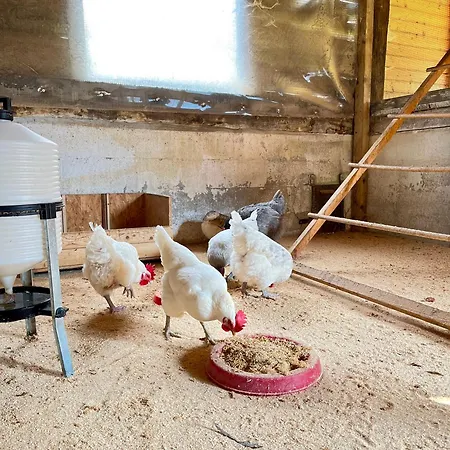 Çiftlik konaklama La Vecchia Chioderia